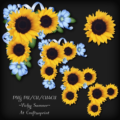 Sunflower Corner Cluster 2