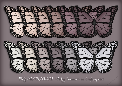 Dusky Butterfly