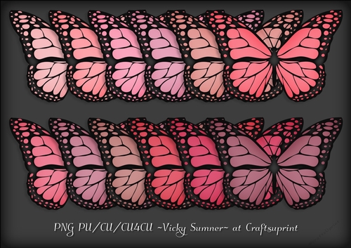 Pink Hues Butterfly