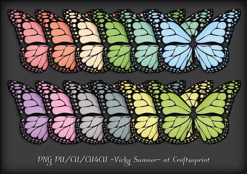 Spring Butterfly