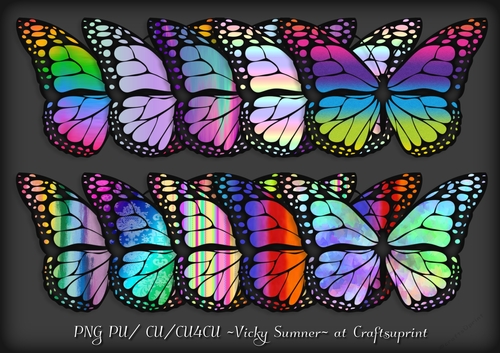 Rainbow Butterfly
