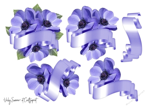 Anemone and Banner JPG 