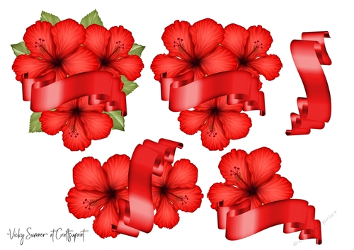 Hibiscus and Banner JPG 