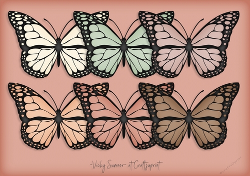 Desert Butterfly