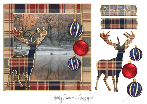 Tartan Christmas 8