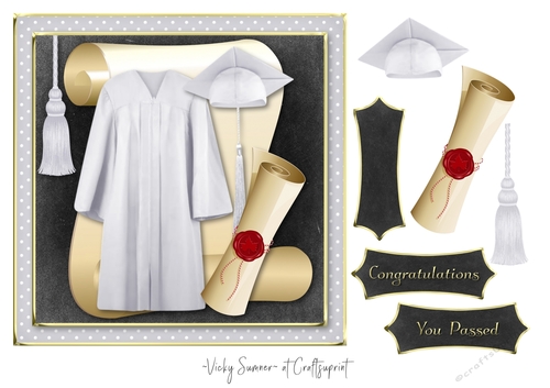 Graduation Cap and Gown 9