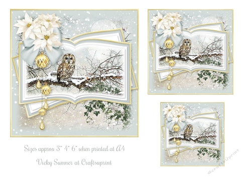 Winter Owl Scene Toppers