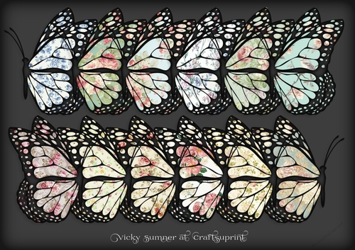 Shabby 2 Docked Butterfly