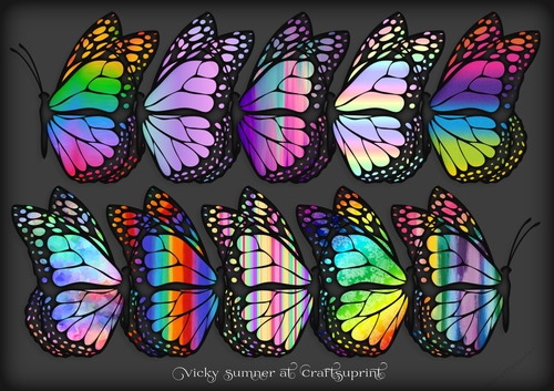 Rainbow Docked Butterfly