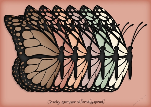 Desert Docked Butterfly