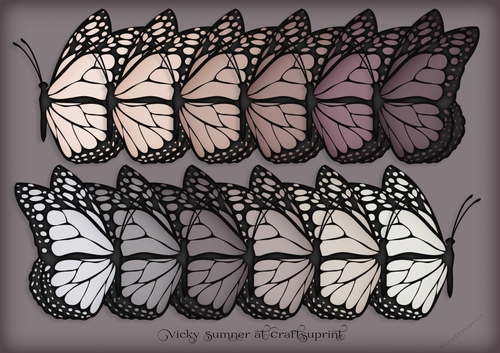 Dusky Docked Butterfly