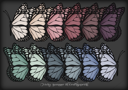 Soft Spring Docked Butterfly