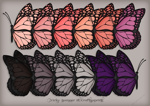 Sunset Docked Butterfly