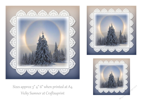 Sunshine Snow and Lace 1