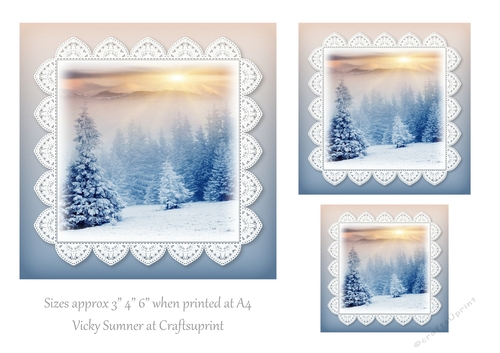 Sunshine Snow and Lace 3