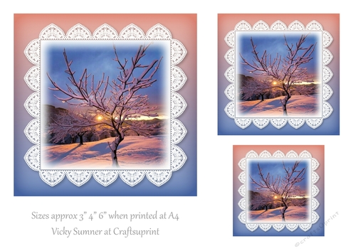 Sunshine Snow and Lace 5