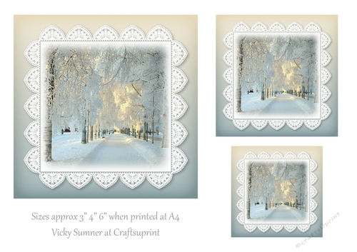 Sunshine Snow and Lace 9