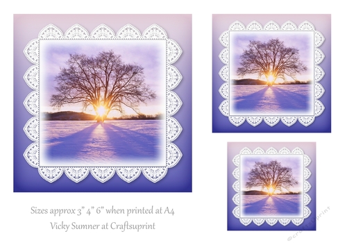 Sunshine Snow and Lace 11