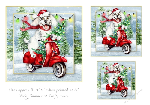 Fetching the Tree Toppers 1
