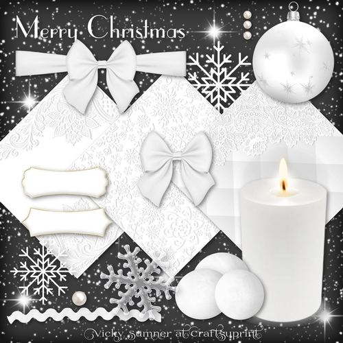 Winter White Embelishments