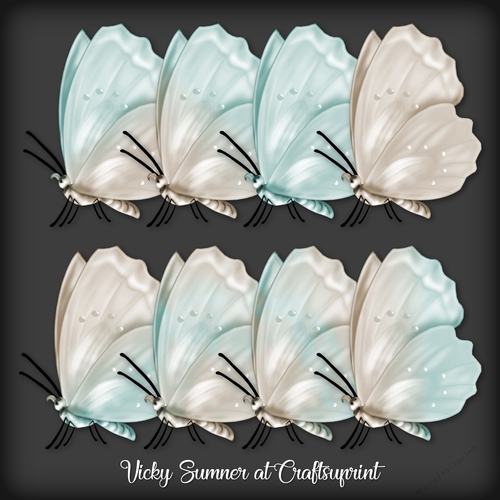 Sea and Sand Butterfly