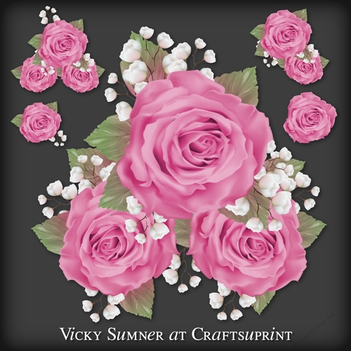 Sugar Plum Pink Rose Cluster PNG