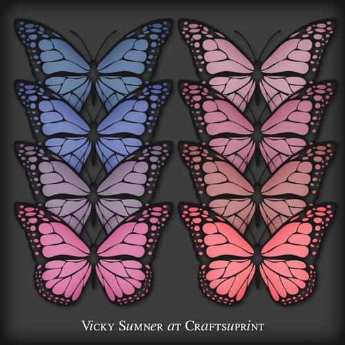 Sugar Plum Black Butterfly