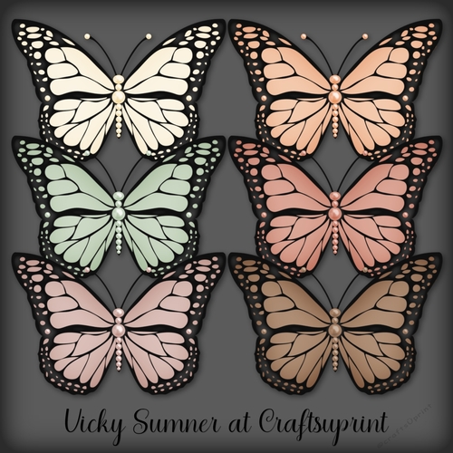 Desert Pearl Butterfly