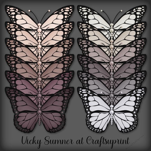 Dusky Pearl Butterfly