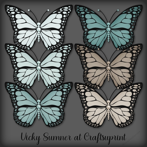 Sea and Sand Pearl Butterfly