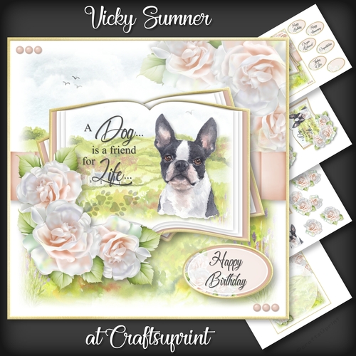 A Dog is a Friend for Life...Boston Terrier