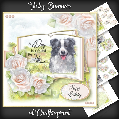 A Dog is a Friend for Life...Collie
