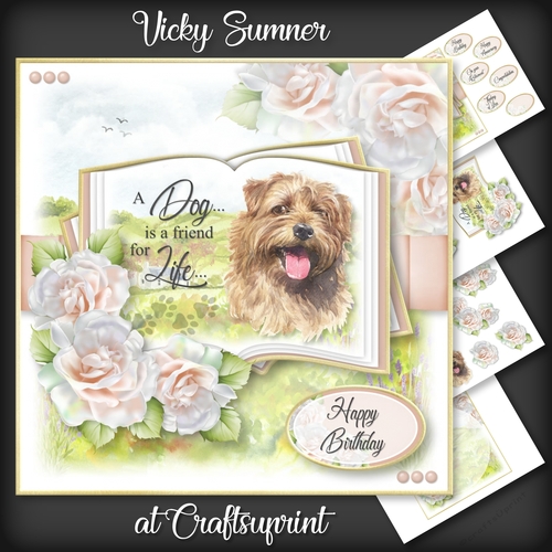 A Dog is a Friend for Life...Norfolk Terrier
