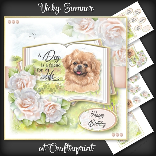 A Dog is a Friend for Life...Tibetan Spaniel