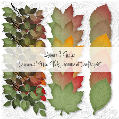 Autumn 3 Leaves PNG