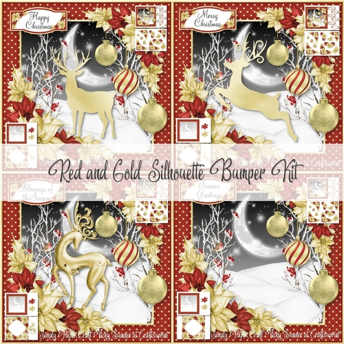 Red and Gold Silhouette Bumper Kit