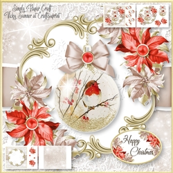 Robin Bauble 3