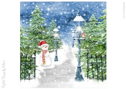Snow Covered Park No.8