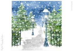 Snow Covered Park No.11