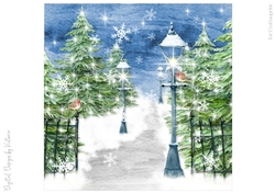 Snow Covered Park No.15