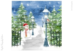 Snow Covered Park No.16