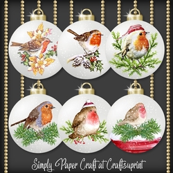 Robin Bauble 2