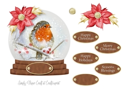 Robin Snowglobe 7