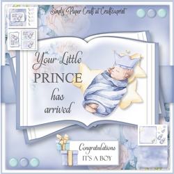 Little Prince Arrival