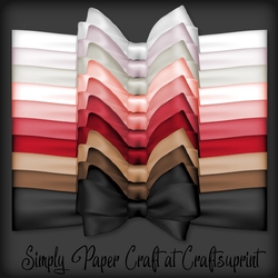Winter Berries Bow Wrap PNG