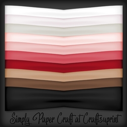 Winter Berries Ribbon Wrap PNG