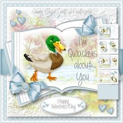 Im Quackers about You