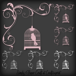 Cosy Bird Cage