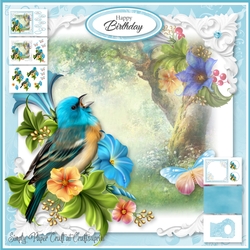 Feathered Friends 3