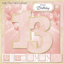 Pretty Pink 13th Birthday